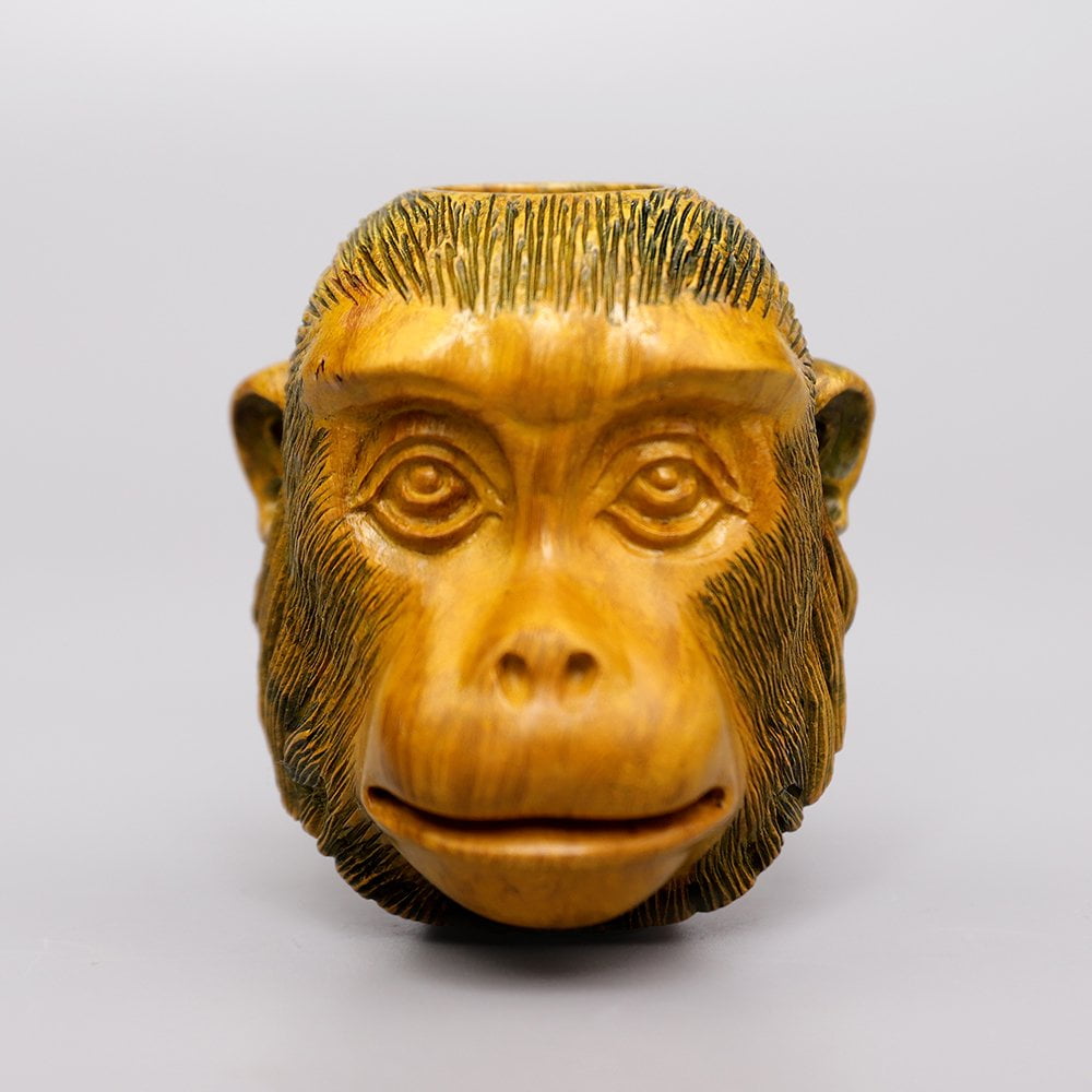 Monkey Smoking Pipe