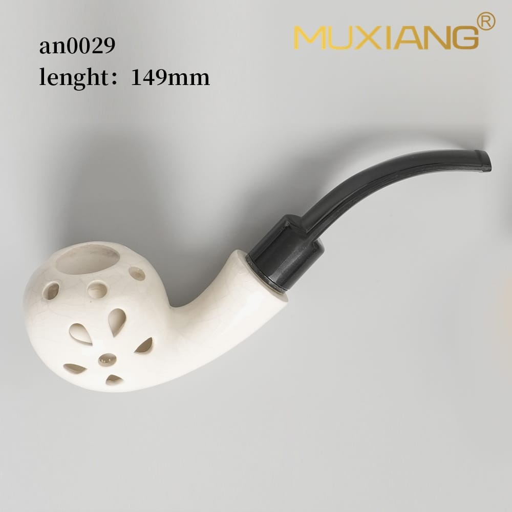 an0029